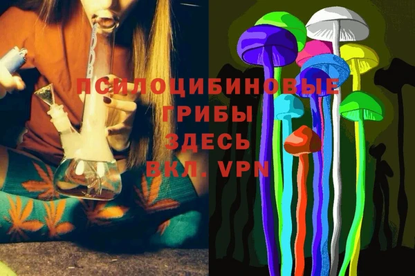 Альфа ПВП Балабаново