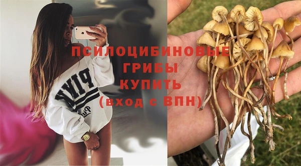 Альфа ПВП Балабаново