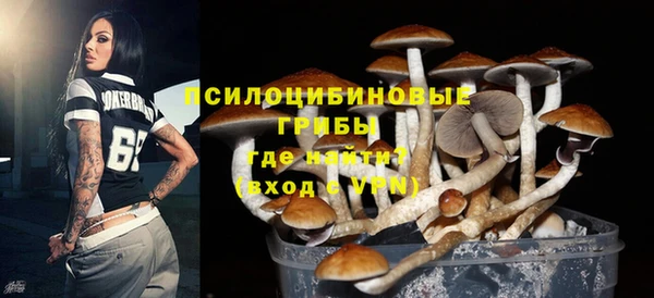 трава Балахна