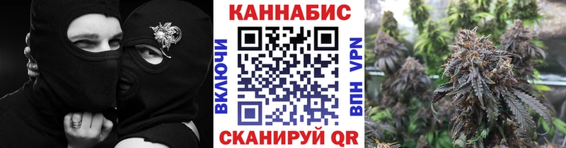 Бошки марихуана VHQ Петрозаводск